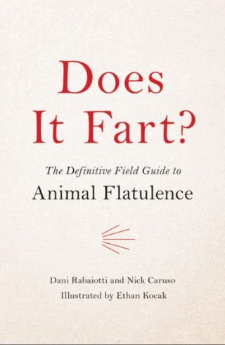 Does It Fart book cover