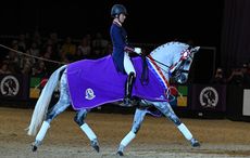 FLORENTINA-VI_HOYS_PN18_180138_237820461_341891022-e1538756933891.jpg