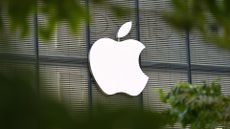 Apple logo pictured through a gap in foliage on the company's regional headquarters in Tokyo's Ginza district.