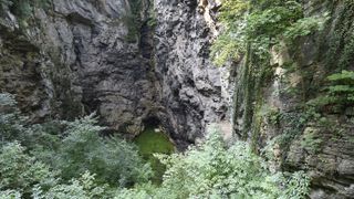 View of the Hranice Abyss from the edge of the cave at the surface. We see a pool of green water at the bottom and greenery around the edge.