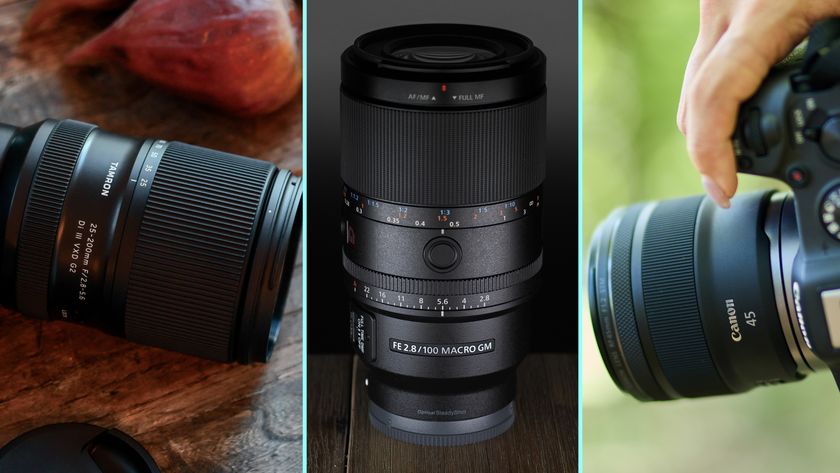 From left to right, the Tamron 25-200mm f/2.8-5,6 Di III VXD G2, the Sony FE 100mm f/2.8 Macro GM, and the Canon RF 45mm f/1.2 STM