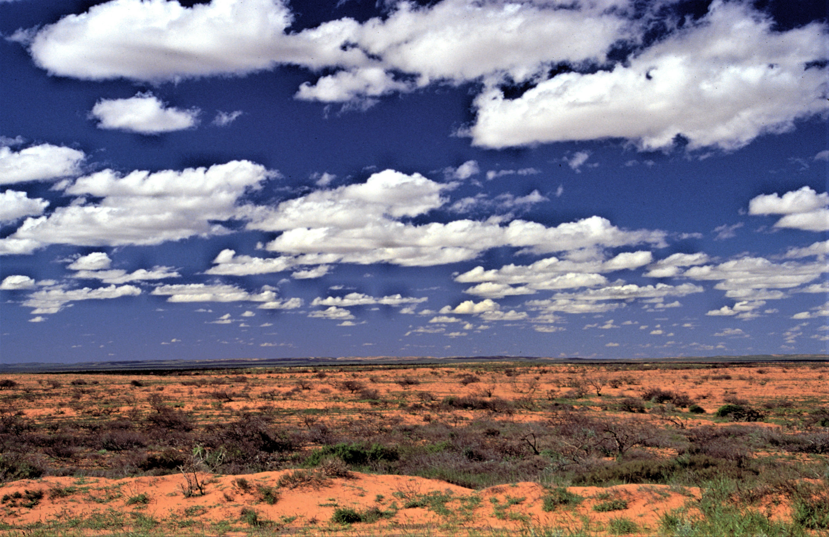 GuruShots March 2026