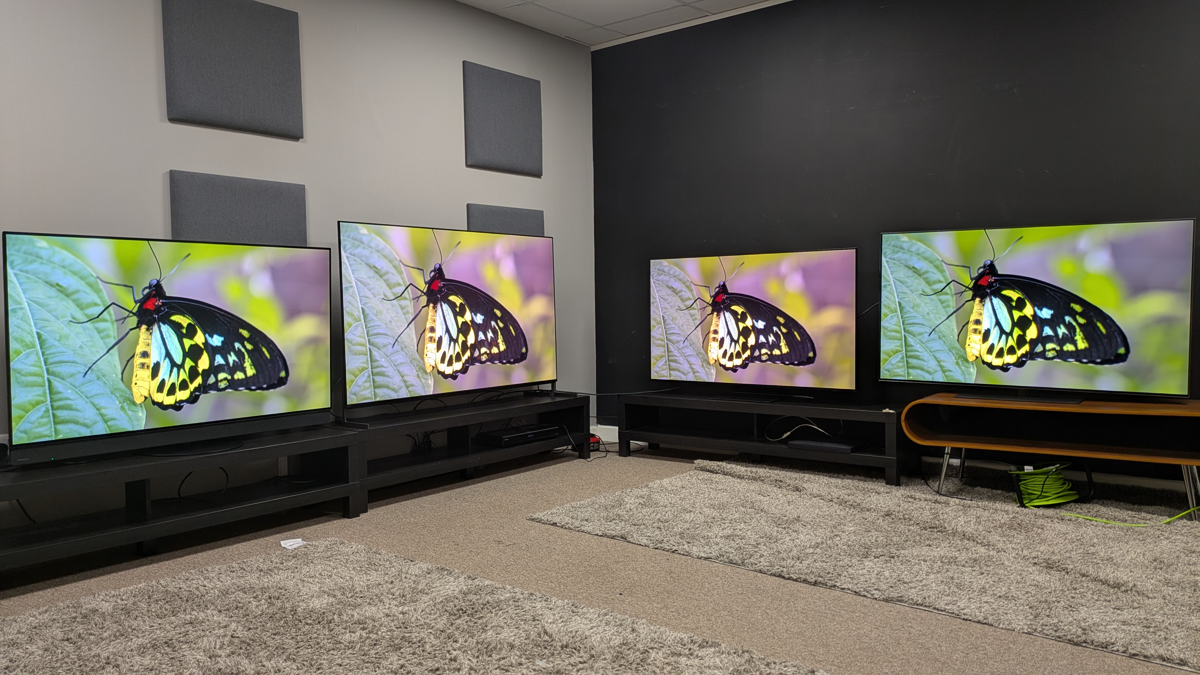Panasonic Z95B vs Sony Bravia 8 II vs Samsung S95F vs LG G5 green butterfly on screen