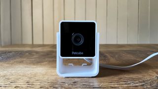 Petcube camera on a table
