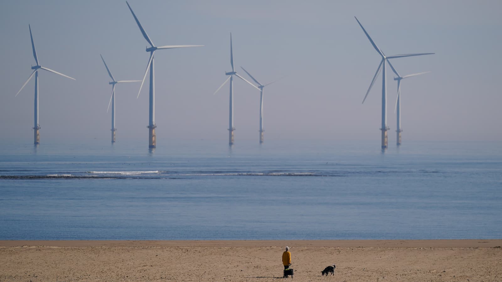 A woman walks her dog on the beach in front of the EDF energy offshore wind farm at South Gare near Redcar on March 20, 2025 in Redcar, United Kingdom