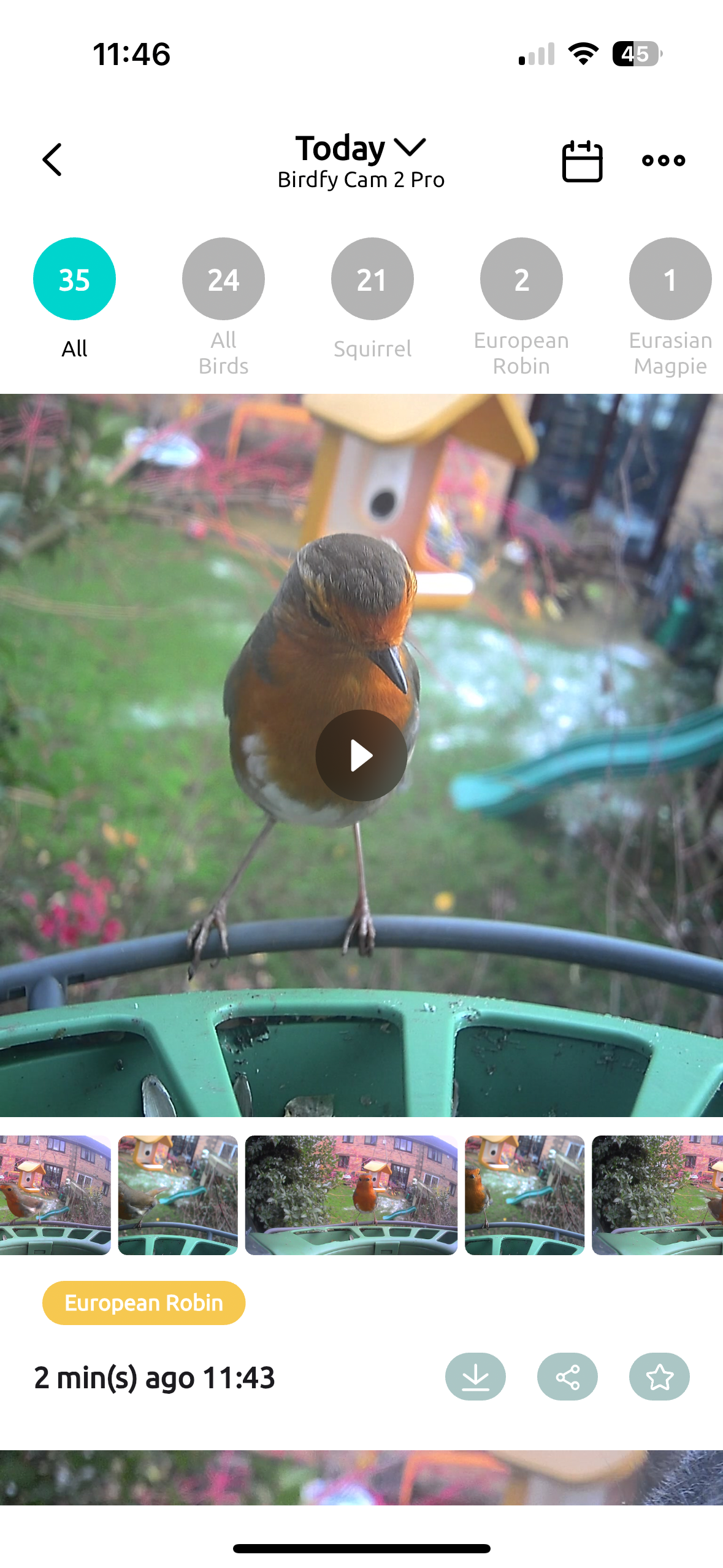 Birdfy Feeder 2 Duo Sample images
