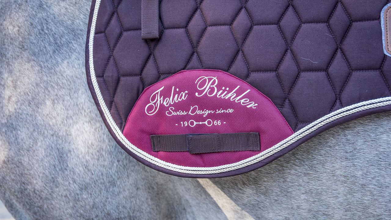 Felix B&uuml;hler Breeze Pro saddle pad review