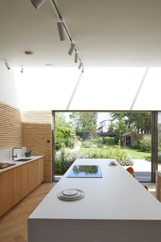 Victorian house extension