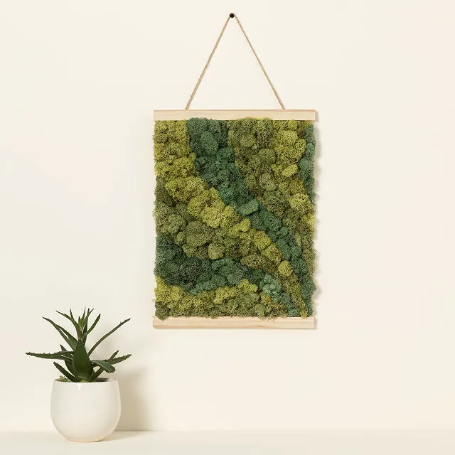 A moss by numbers art project hanging on a wall
