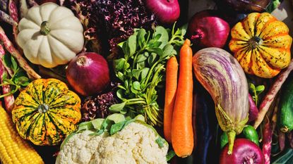 Carrots, red onions, mini squash and aubergine clustered together in the sun