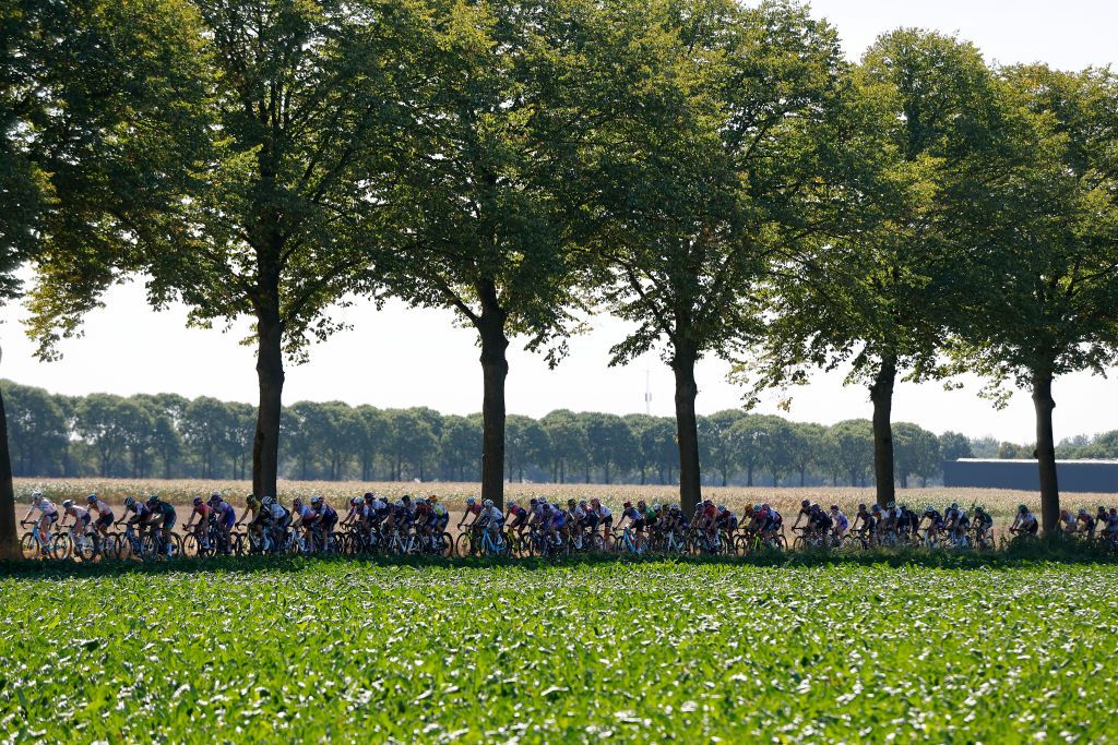 GENNEP NETHERLANDS SEPTEMBER 01 A general view of the peloton competing during the 25th Simac Ladies Tour 2022 Stage 3 a 1391km stage from Gennep to Gennep SLT2022 UCIWWT on September 01 2022 in Gennep Netherlands Photo by Bas CzerwinskiGetty Images