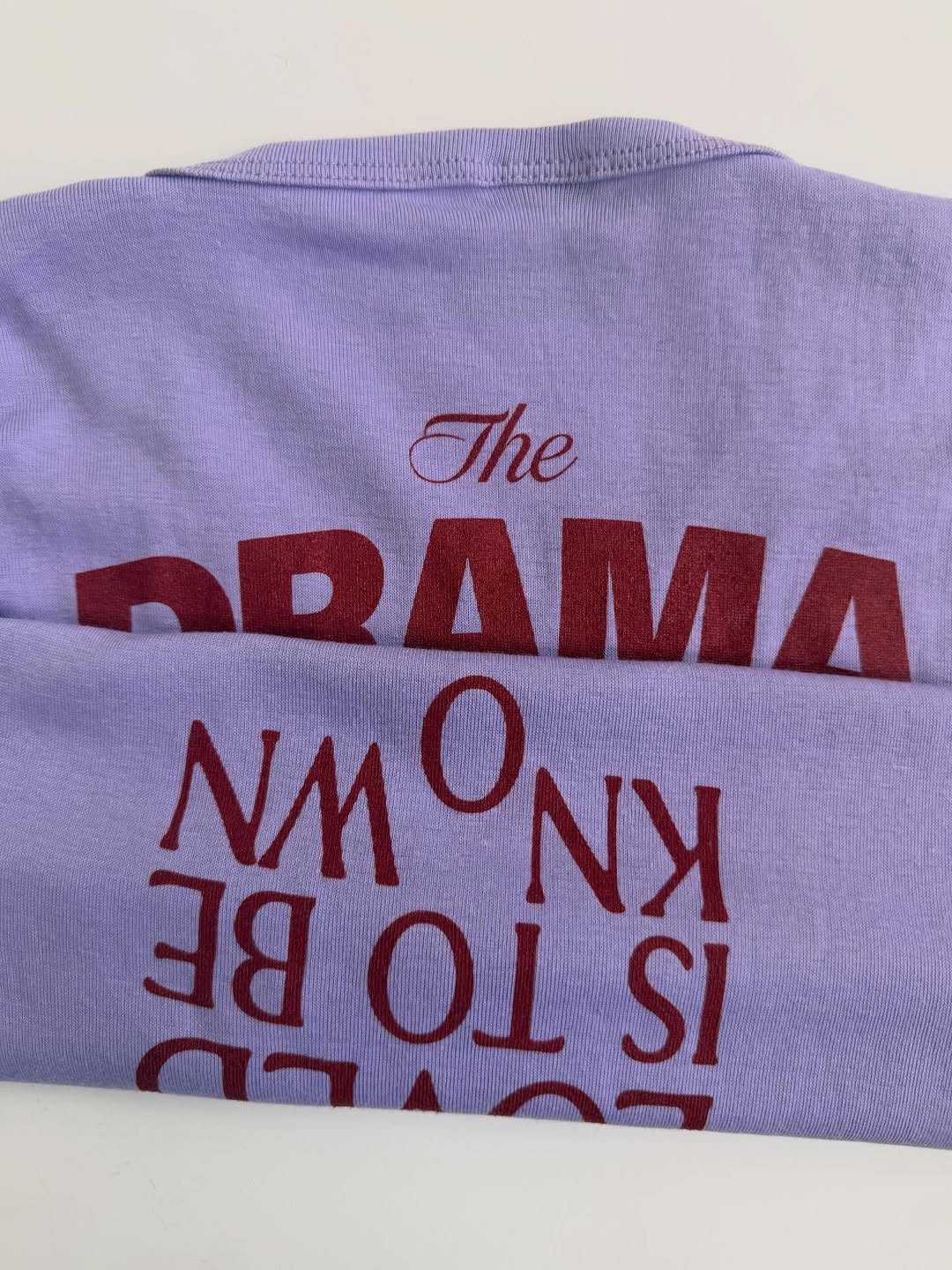 close-up of Zendaya's The Drama graphic tee from Emily Dawn Long