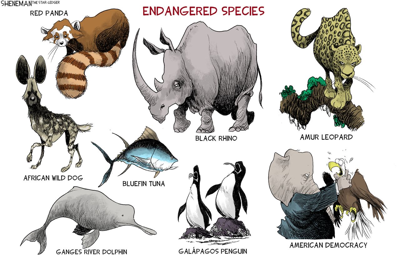 2021&amp;#039;s endangered species