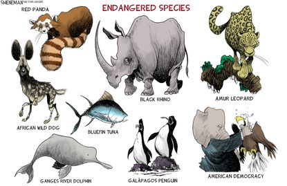 2021's endangered species