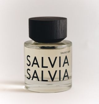 Salvia Salvia