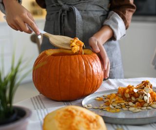 Woman scoops pumpkin seeds and guts out of pumpkin with wooden spoon