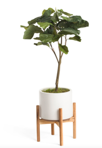 SILKCRAFT OF OREGON Fiddle In Matte Pot With Stand l Was $79.99, Now $59, at Marshalls