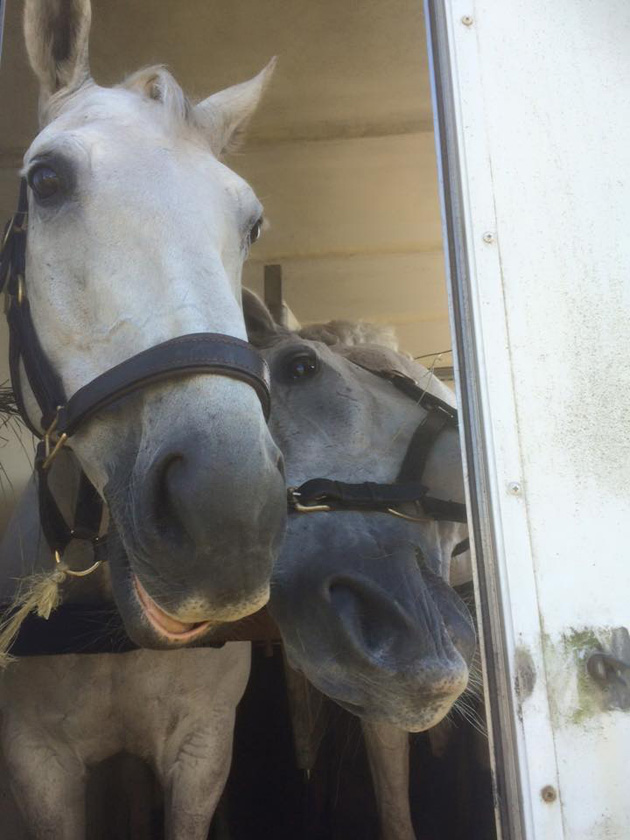 Kat and Alfie go eventing
