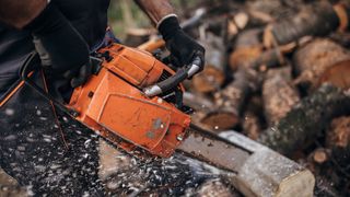 Man using chainsaw on wood logs