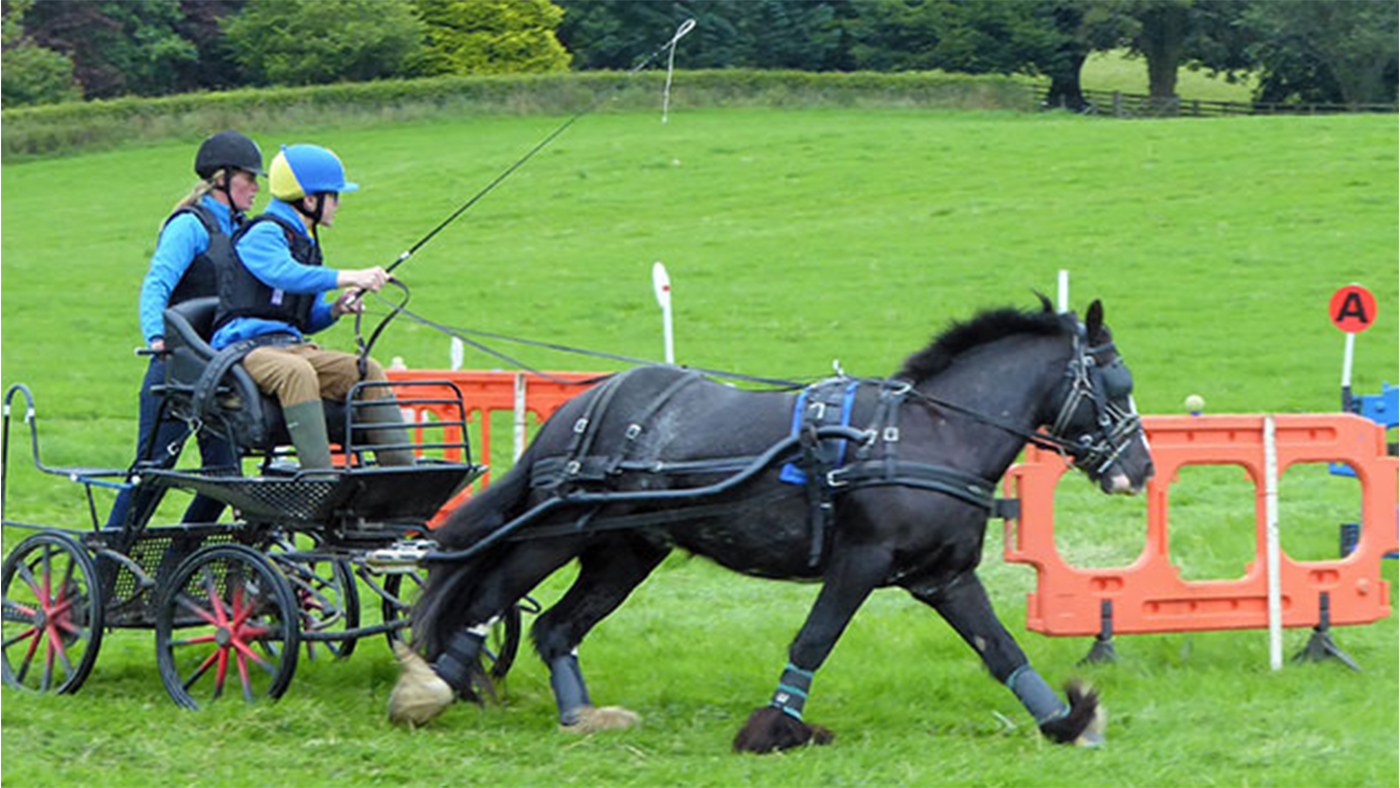 Horse experience days Scotland