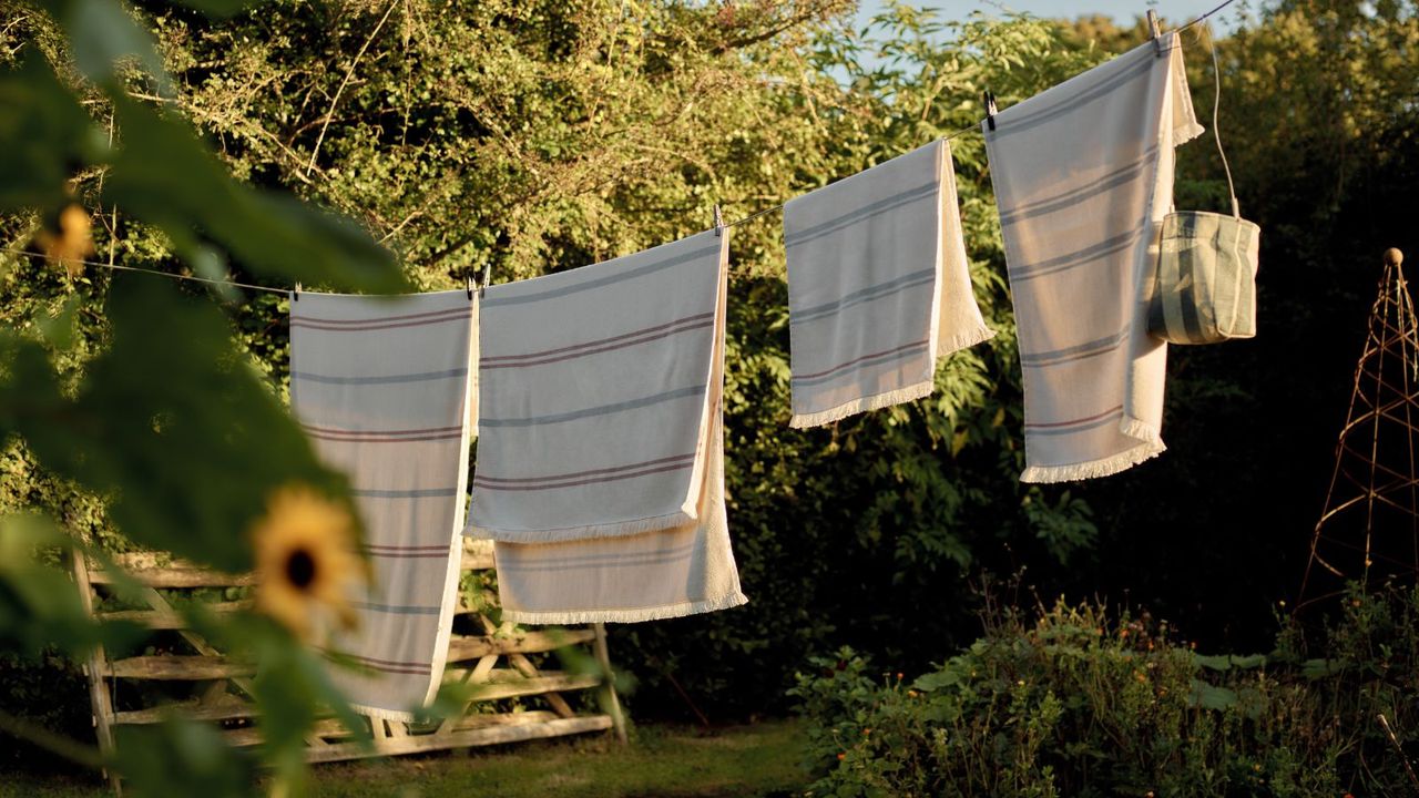 Striped towels hanging from an outside washing line in a bright, sunny garden full of lush green bushes and trees. 