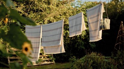Striped towels hanging from an outside washing line in a bright, sunny garden full of lush green bushes and trees.