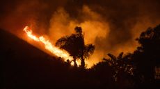 Wildfire in California.