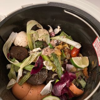 Food scraps for testing the grow mode in the Lomi Home Composter