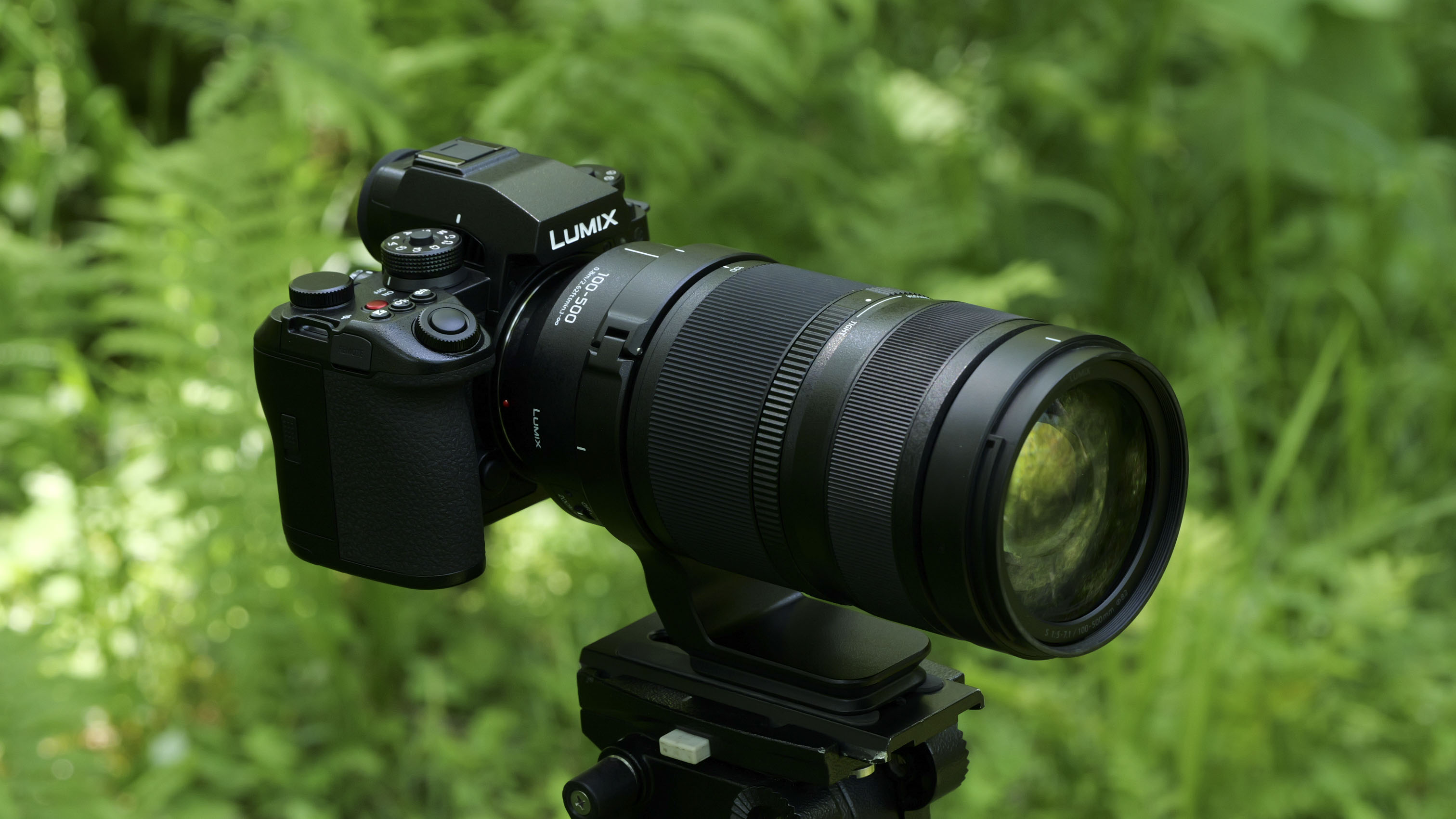 Panasonic Lumix S 100-500mm F5-7.1 O.I.S lens attached to a Lumix S1 II attached to a tripod with background ferns