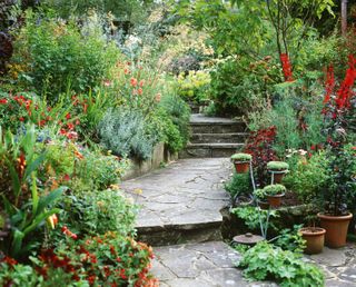 Paved garden path up terraces with luscious borders