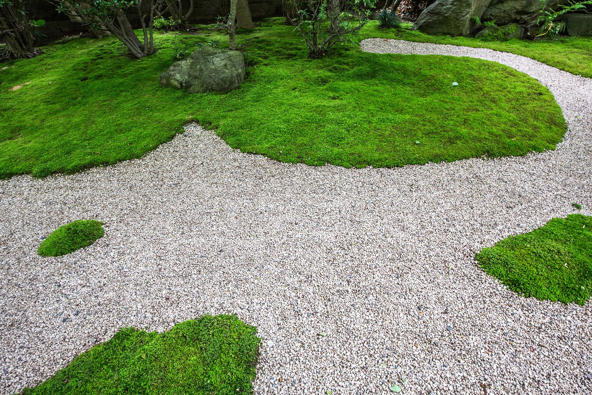 Moss garden a guide to growing moss in your garden Homes & Gardens