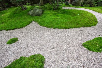 Moss garden: a guide to growing moss in your garden | Homes & Gardens