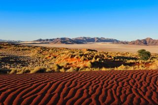 Namib Rand Nature Reserve in the Namib Desert.