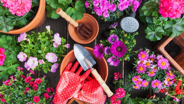 Every gardener should know, Gardening, different spring and summer flowers, gardening tools on garden table