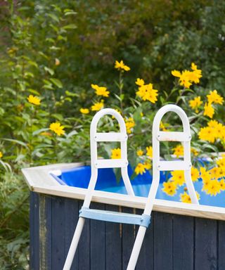 yellow flowers and above ground pool