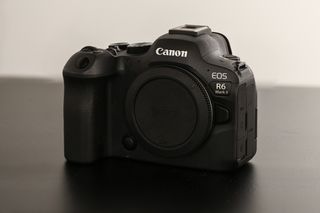 Canon EOS R6 Mark II sample
