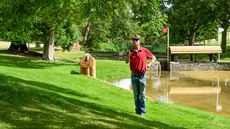 Fence11_DefenderBurghleyHT_PN24_159101.jpg