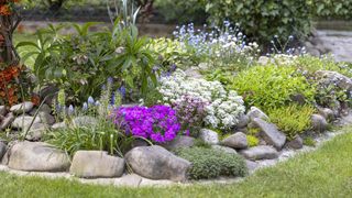Beautiful colorful spring rock garden, blooming flowers