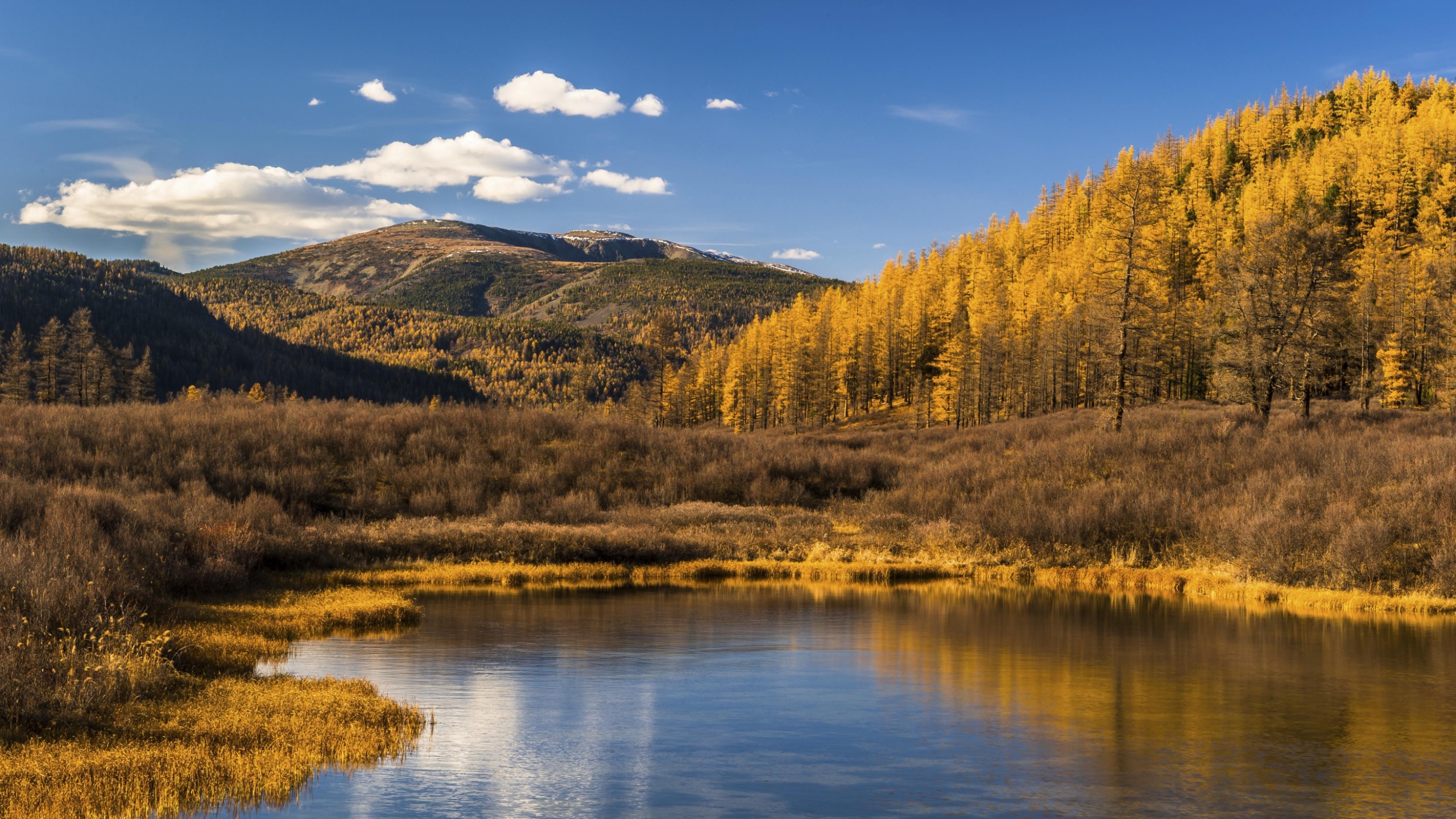 a mountain with a lake in foreground and trees