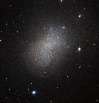 This image from the Hubble Space Telescope captures a dwarf galaxy known as NGC 5264. This galaxy lies just over 15 million light-years from Earth in the constellation of Hydra (The Sea Serpent). NGC 5264 is an irregular galaxy, which means that it lacks