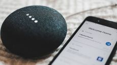 A Google Home Mini sat next to a phone with the Google Home app on the screen