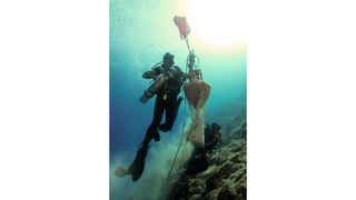 A diver carries an ancient cone-shaped amphora to the water's surface.