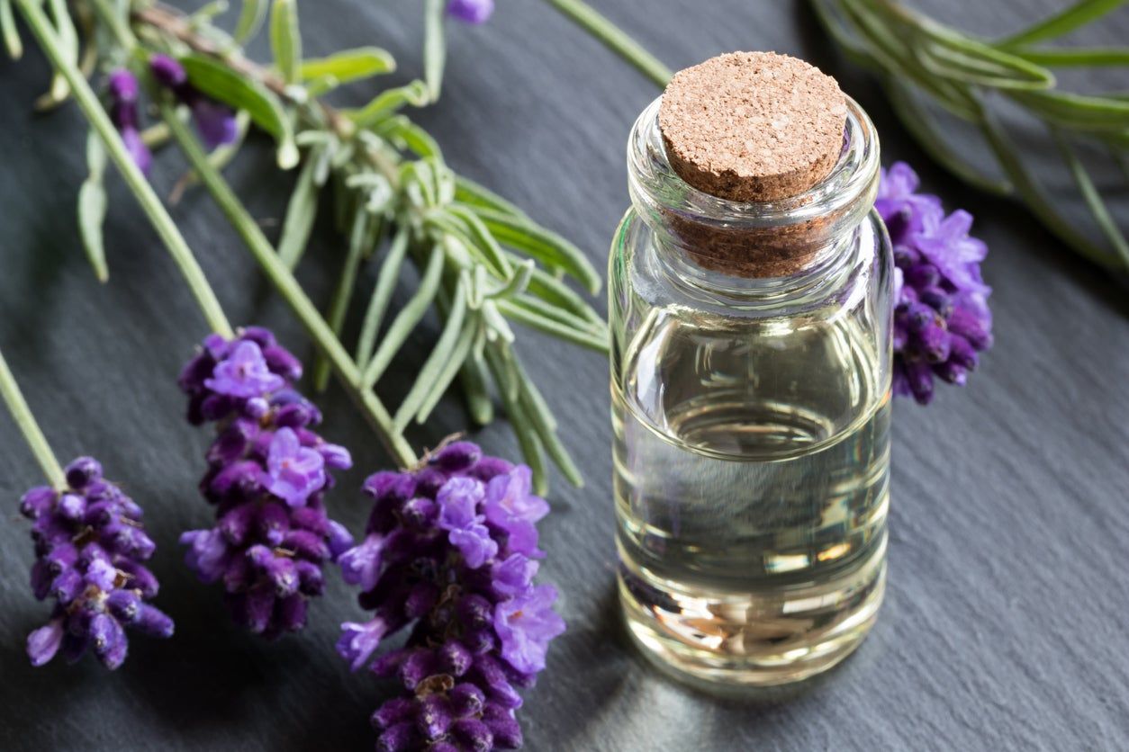 lavender
