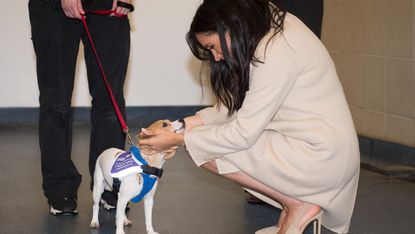 The Duchess Of Sussex Visits Mayhew