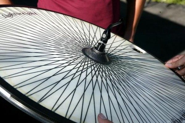 The disc