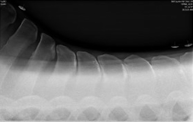 Fig-3_138003201_208939141.jpg
