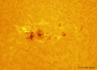 John Chumack sent Space.com this close up image of the sun in hydrogen alpha light featuring gigantic sunspot group AR 1967 taken from his backyard in Dayton, Ohio on Feb. 3, 2014 (Lunt 60mm/50 F Ha Scope, DMK 21AF04 Camera, 2x barlow 1/60 second exposure, 720 frames Stacked). “Sunspot AR 1967 is now wider than the planet Jupiter and is very active,” Chumack wrote Space.com in an email.