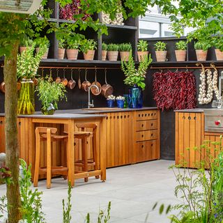 outdoor kitchen with plants and shelves