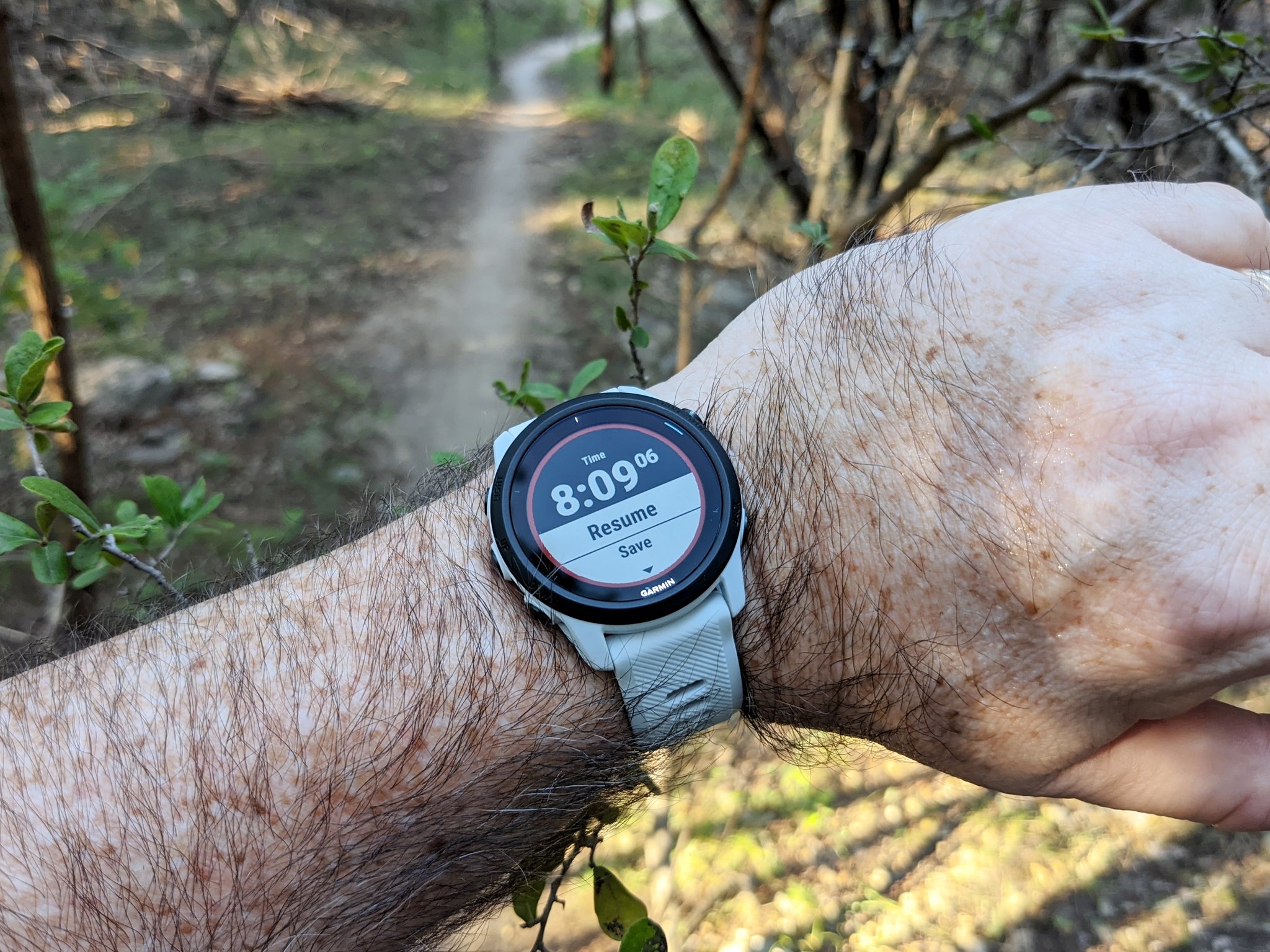 Garmin fenix forerunner. Garmin Forerunner 745. Garmin Forerunner 745 Neotropic. Garmin 55 vs Fenix 6. Garmin Forerunner 165.