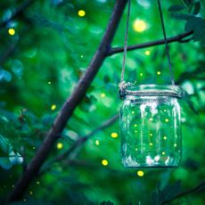Firefly in a jar